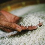 مقایسه انواع برنج ایرانی